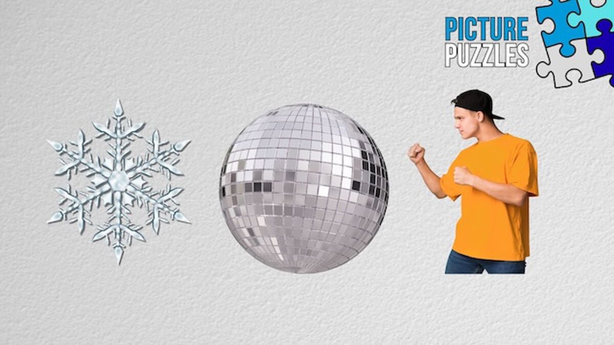 Picture Puzzles: Winter Edition image number null